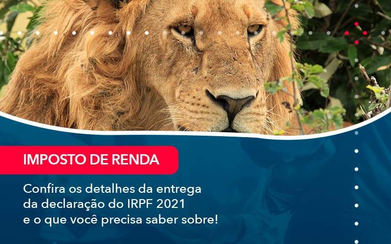 Confira Os Detalhes Da Entrega Da Declaracao Do Irpf 2021 E O Que Voce Precisa Saber Sobre 1 - PME Contábil - Contabilidade em São Paulo