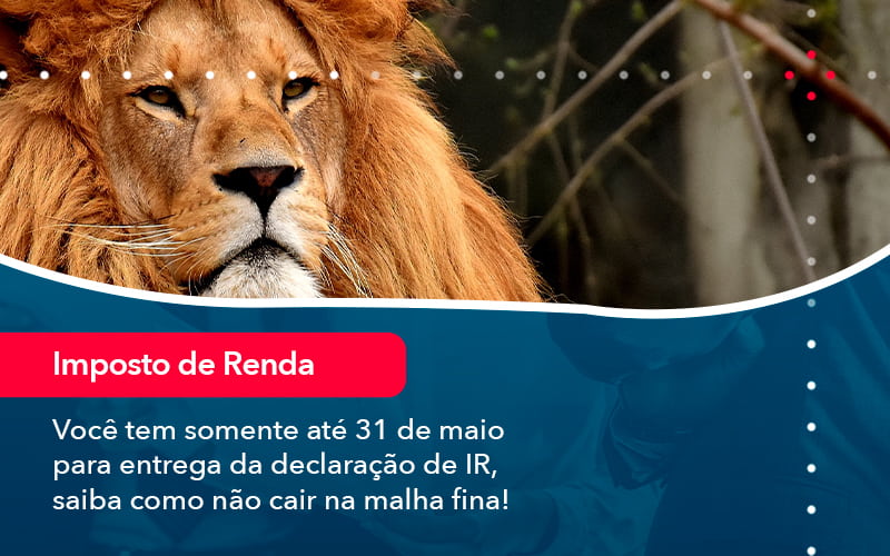 Voce Tem Somente Ate 31 De Maio Para Entrega Da Declaracao De Ir Saiba Como Nao Cair Na Malha Fina 1 - PME Contábil - Contabilidade em São Paulo