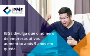 Ibge Divulga Que Numero De Empresa Ativas Aumentou Pme - PME Contábil - Contabilidade em São Paulo